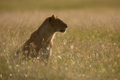 DSC_5844.jpg