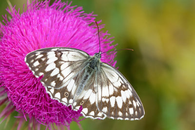 g9/75/583275/3/163588954.hCrryUgy.jpg