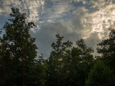 g9/75/593875/3/156492697.6a6MzxUe.jpg