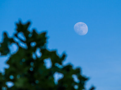 g9/75/593875/3/156506203.d3Y3freY.jpg