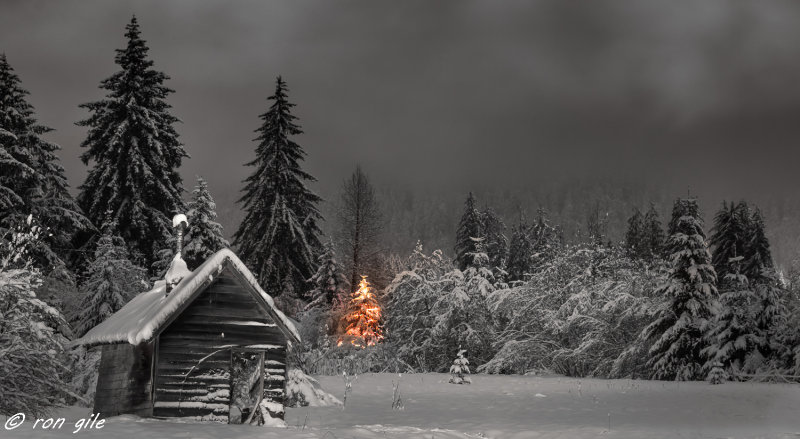 merry christmas-7232.jpg