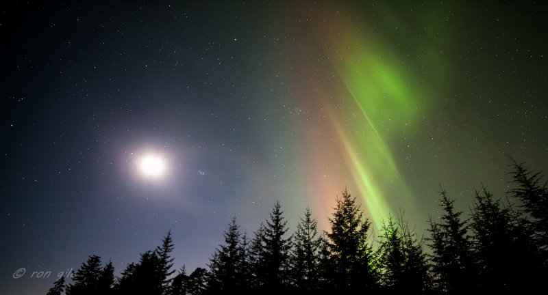 best lights ii-9449.jpg