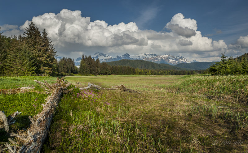 Eagle beach clouds-0483.jpg