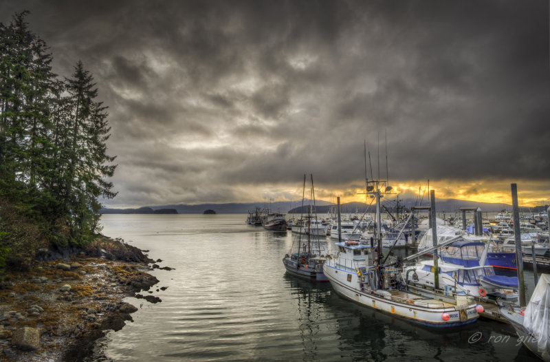 bay watch-.jpg