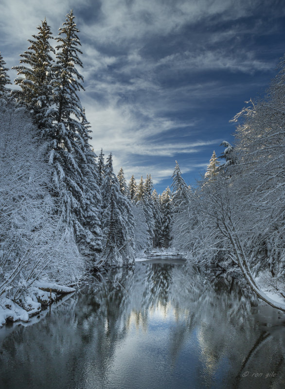 Kowee Creek-2546.jpg