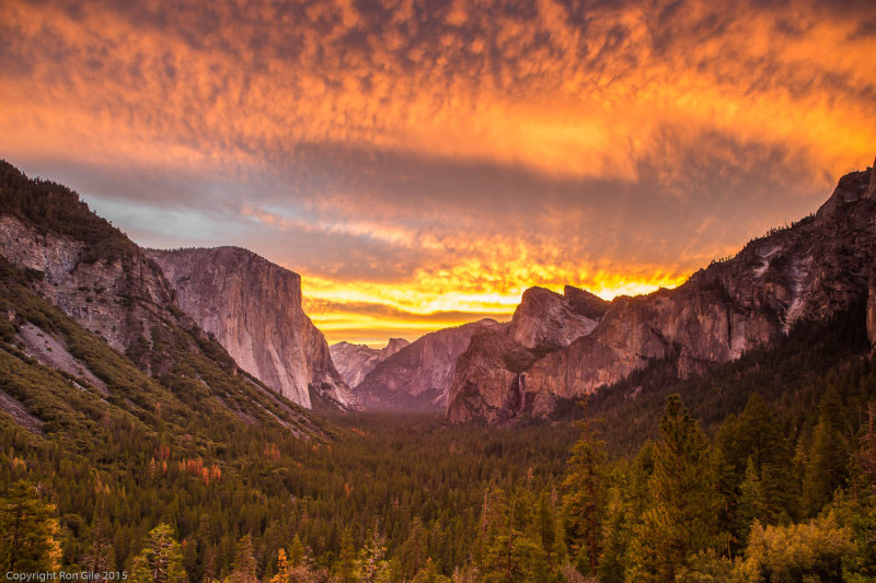tunnel sunrise-1149.jpg