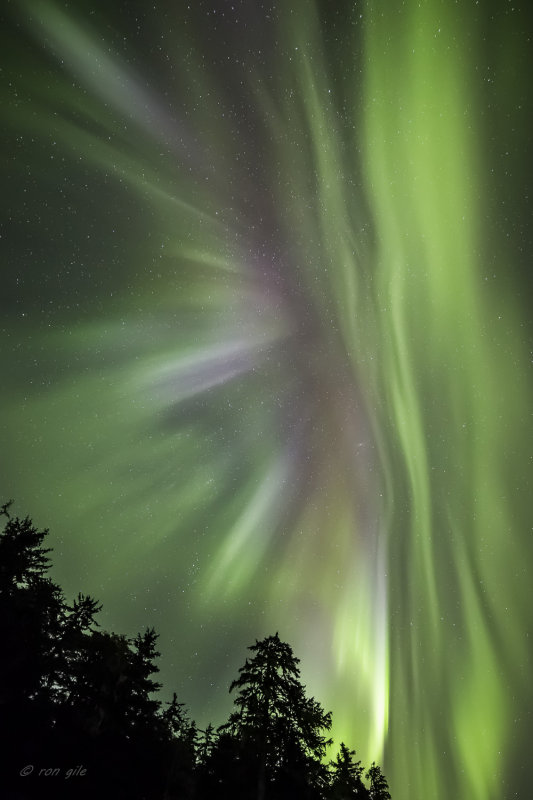 Hot August nights flare-7580.jpg