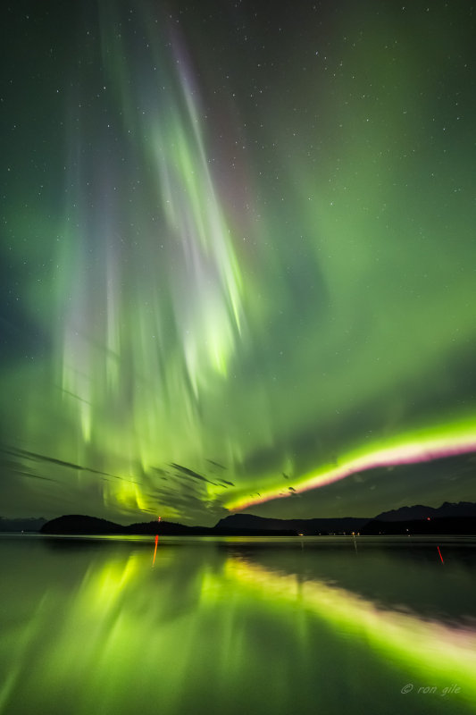 Lights with Matt Brown-8358.jpg