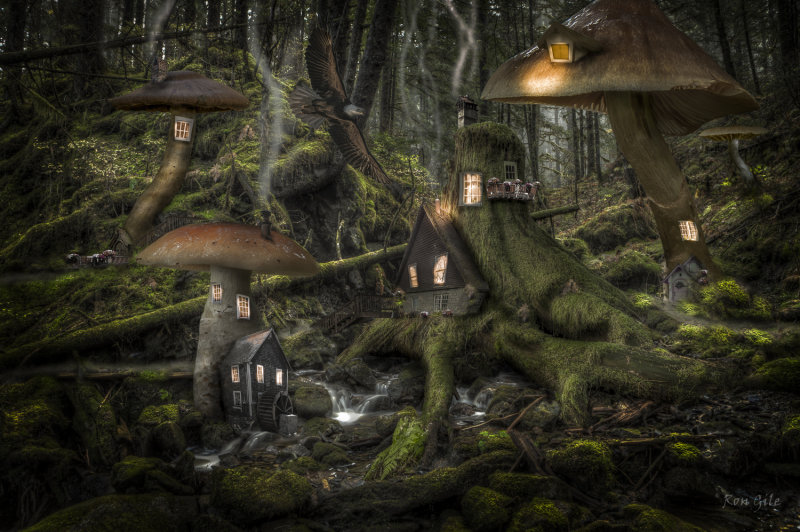 Juntopia falls-3.jpg