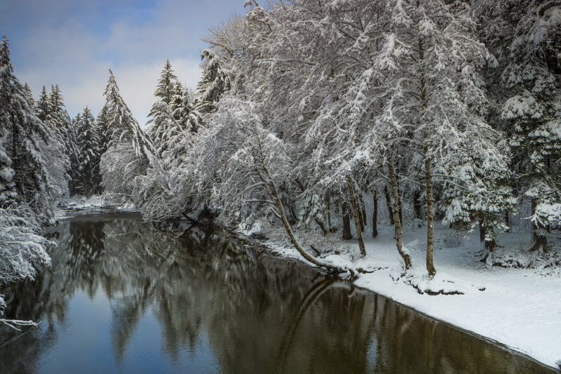 Cowee snow 15 min later-0604.jpg