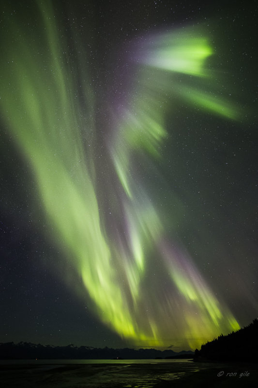 hot august night-7583.jpg