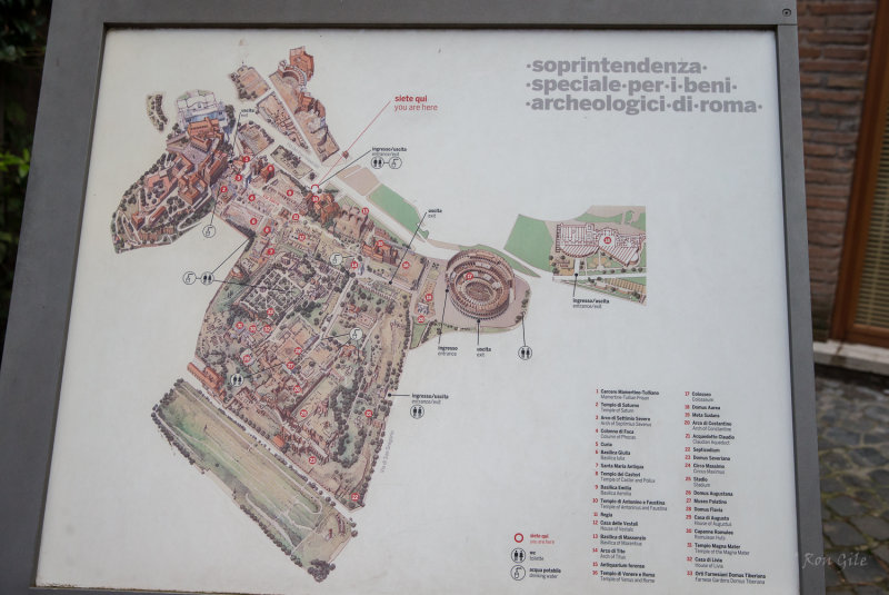 rome-9148.jpg