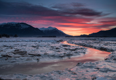 winter sunrise on the wetlands-5397.jpg
