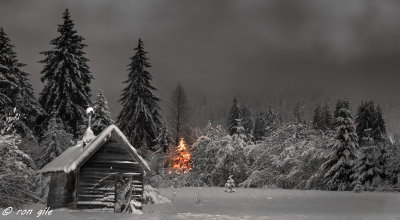 merry christmas-7232.jpg