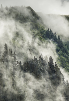 Thunder Mountain fog-2498.jpg