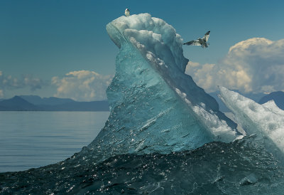 The perch-5327.jpg