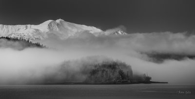 the fog-0086.jpg