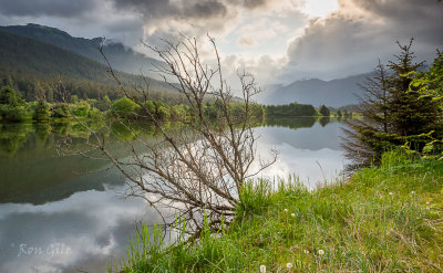 morning light over the pond-3275.jpg