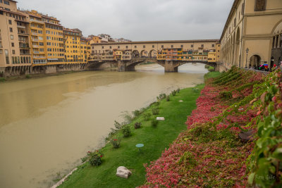 Florence-4265.jpg