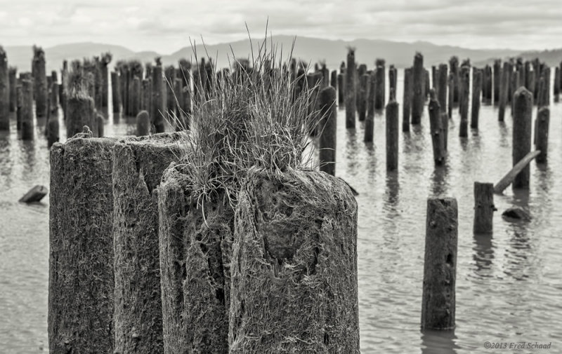 Pilings