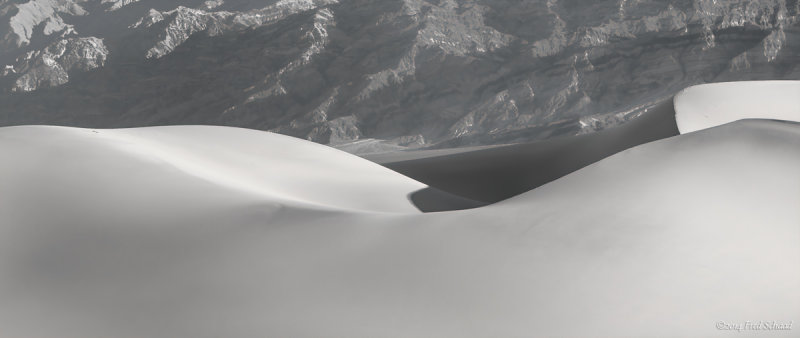 Curves on the Dunes