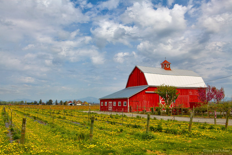 One Red Barn