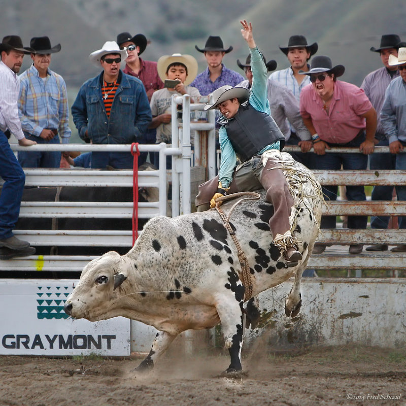 Ashcroft Rodeo 2014