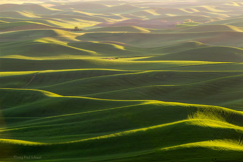 Evening Over the Palouse