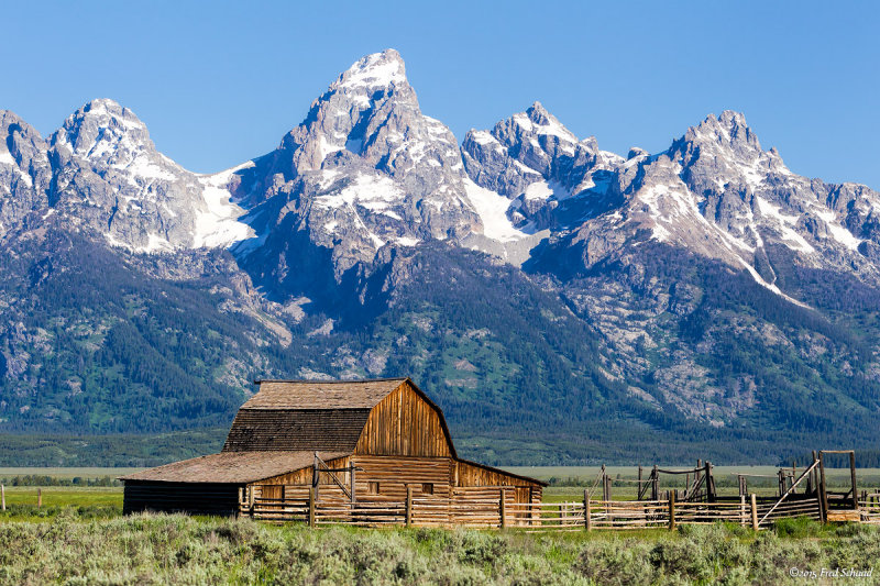 A Barn with a View