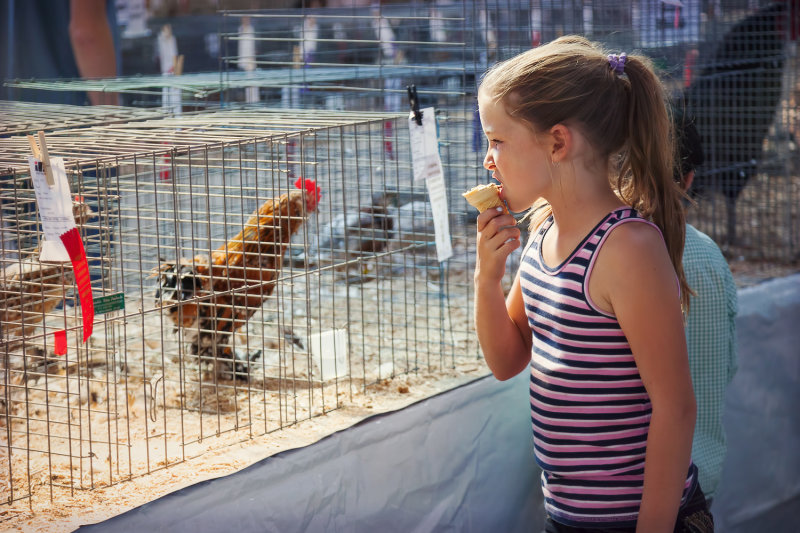 Girl & Rooster