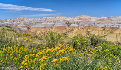g9/75/646675/3/159443513.IR5Fd0i9.jpg