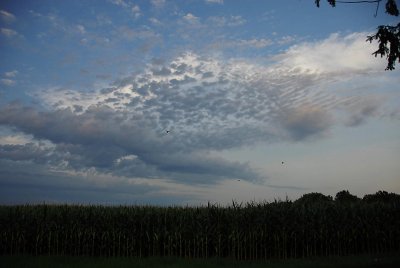 g9/75/647075/3/151644045.iuutuHTi.jpg