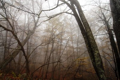 g9/75/647075/3/154457267.37gY8x8T.jpg