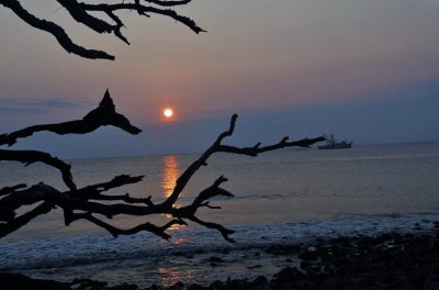 Low Country: Beaufort, Savannah and Jekyll Island