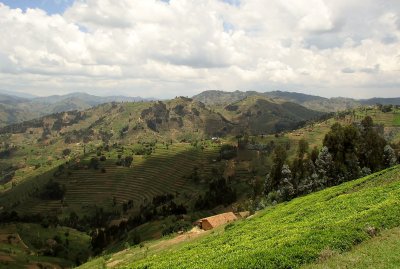 Rwanda Countryside