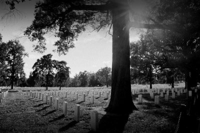 Arlington National Cemetery