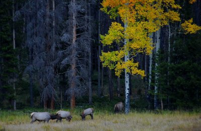 Rocky Mountain National Park