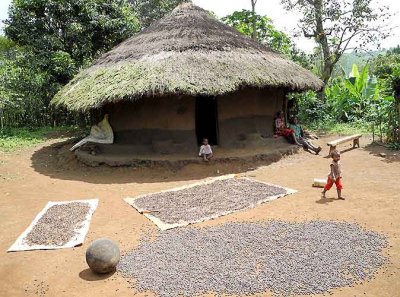 Benji hut in Tamaya. Ethiopia.