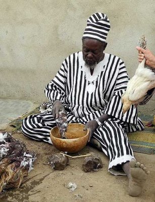 Des ftiches et le sacrifice dune  poulet aident gurisseur Ba Zane (peuple Mossi)  Sena, Burkina Faso,  prophtiser.  