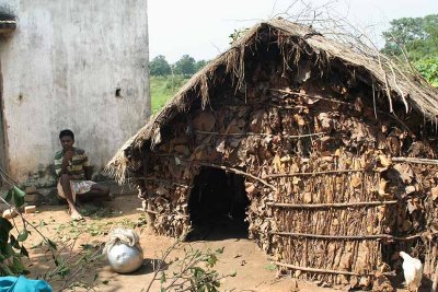 Traditional and government given house in Birhor  village Chateni