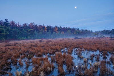 full moon over the marsh