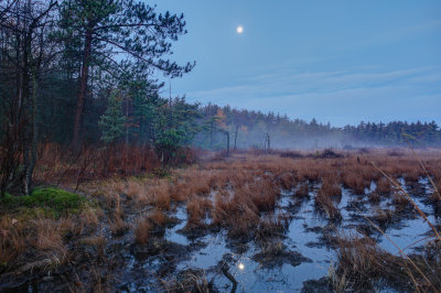 full moon over the marsh
