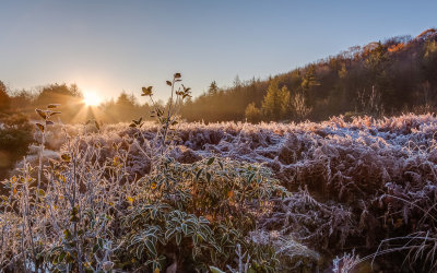 frosty dawn in the high meadow