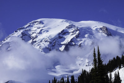 Mt. Rainier 