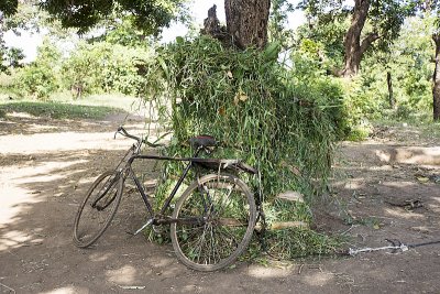 A work bike