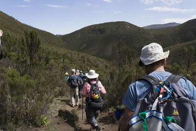 Leaving the rainforest for the Heather region