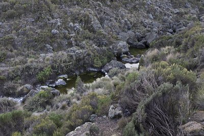 A stream for water near the campsite