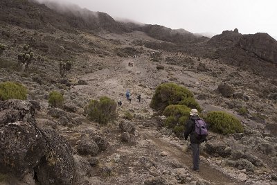 Long trail