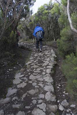 A little bit of Horizontal Trail