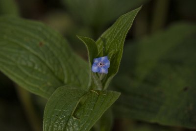 Time to smell the flowers